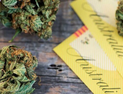 Australia’s Cannabis Market: Import Quota Cut and New Packaging Rules Explained
