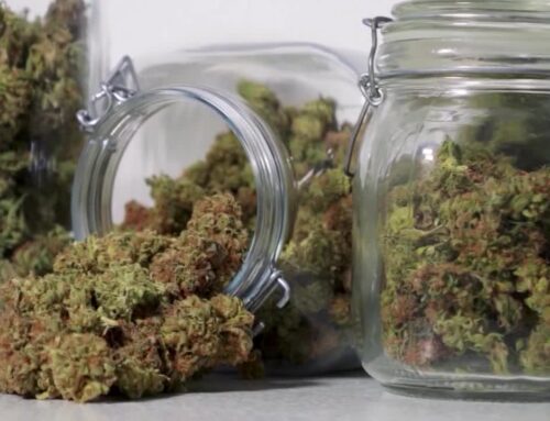 Minnesota inks third tribal-state marijuana deal, this one with Prairie Island Indian Comm