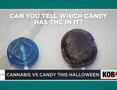 Sorting cannabis from candy | Healthy Living with UNM Health