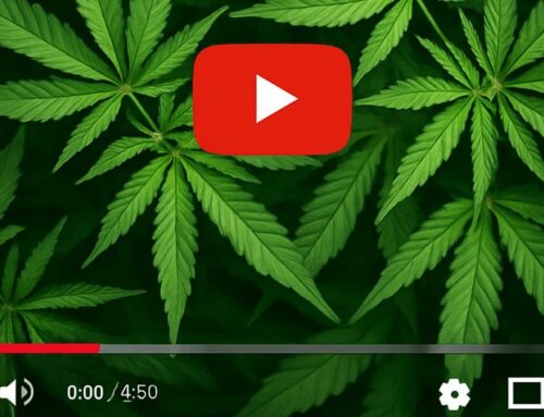 Study: YouTube And Medical Cannabis Information