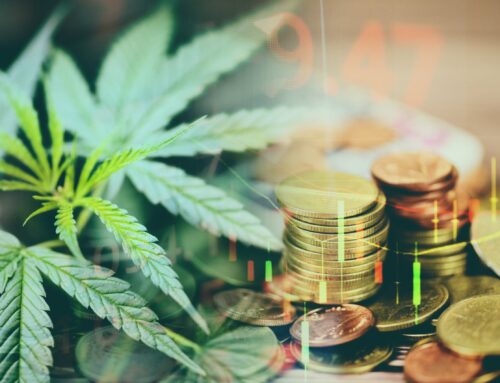 New York OCM Awards $5 Million In First Cannabis Community Reinvestment Grants | Cannabis