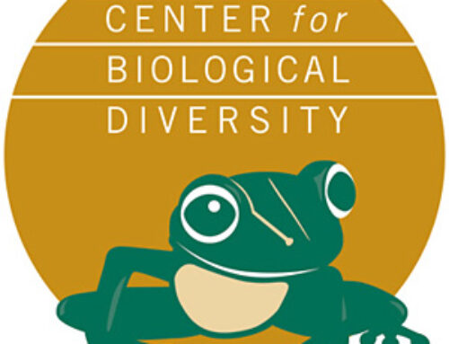 Trump Intensifies Environmental Attacks in Month-Long Shutdown