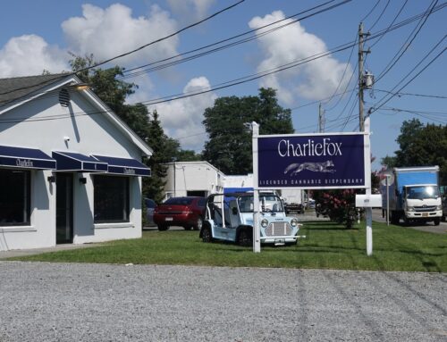 Tuckahoe Cannabis Dispensary Shuttered by Court Order Applies for Southampton Town Permits
