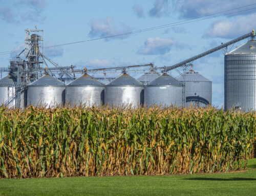 Why Planting Too Much Corn Hurts Farmers—and the Environment