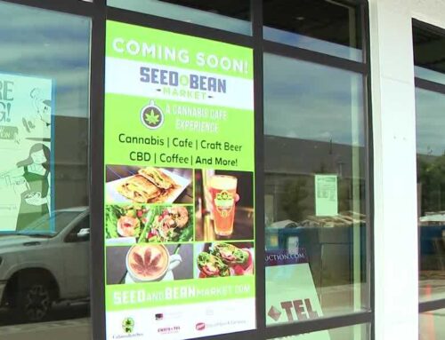 High hopes?: Cape Coral’s about to get a ‘Cannabis café’
