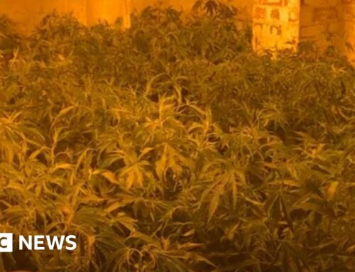 Man charged over cannabis farms inside Doncaster properties