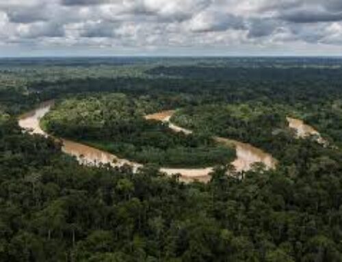 Latin America has highest rate of murdered environmental activists, report finds