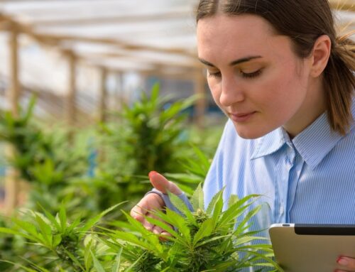 US (CA): Cannabis dispensary for research buds at USC