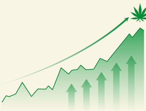 Cannabis stocks are on a roll: Here’s how to play the surge