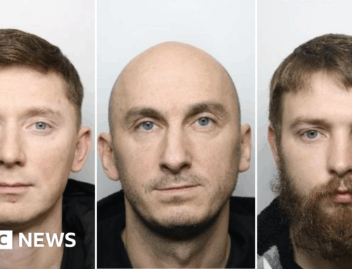 Men jailed over £1m cannabis operation