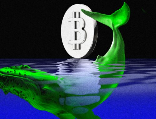 How This Crypto Whale Made $17 Million in 2 Weeks
