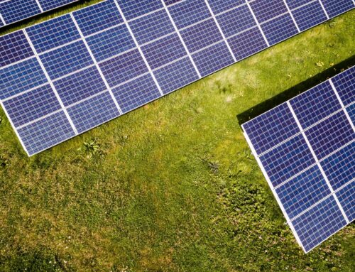 Solar energy is now the world’s cheapest source of power, study finds