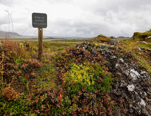 EEA: State of Europe’s environment not good