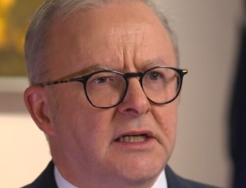Environment laws are biggest test of parliament since Albanese’s win