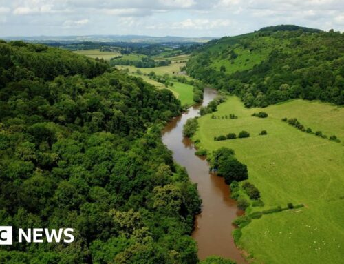 River Wye pollution prompts UK’s largest environmental lawsuit
