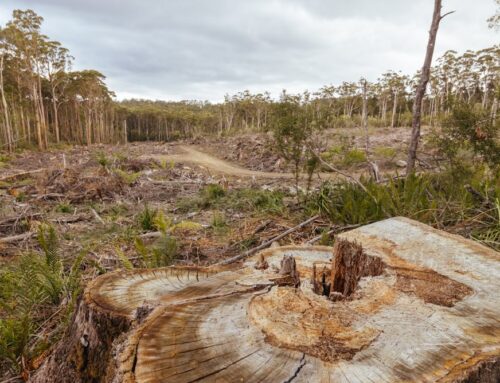 Labor is close to a deal on environmental law reforms. There are troubling signs these wil