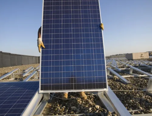 Where do NJ’s Jack Ciattarelli and President Trump disagree? Solar energy.