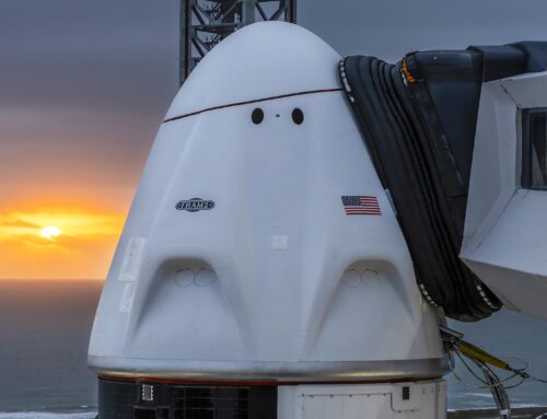 SpaceX moves $270 million worth of bitcoin in first transfer since July: Arkham