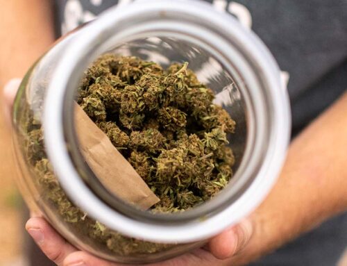 Virginia’s new medical cannabis tracking system finds a multi-million dollar industry in H