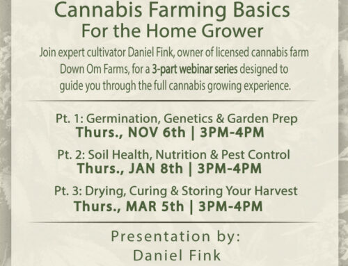 Cannabis Alliance to Host Cannabis Farming Basics Webinar for the Home Grower