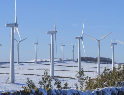 Renewable energy exceeds global coal power generation for the first time ever, analysis fi