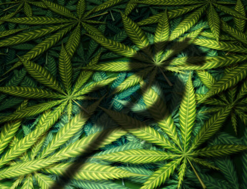 1 Major Reason Cannabis Stocks Surged This Week @themotleyfool #stocks $TLRY $ACB $CGC $CR