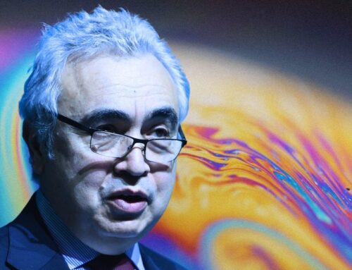 IEA: Sustainable Fuel Growth Needs Policy And Investment