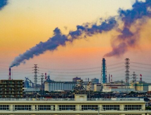 Coal Use Hits All-Time High Despite Renewable Energy Boom