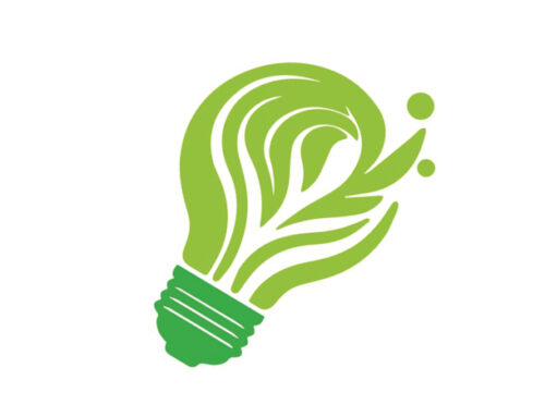 Local government officials wrestle with battery plant’s environmental impact