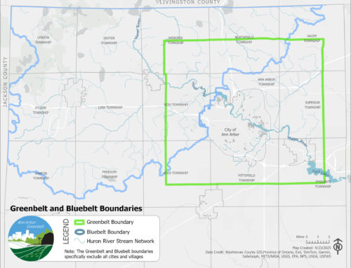 Issues of the Environment: A dive into Ann Arbor’s ‘Bluebelt’ program