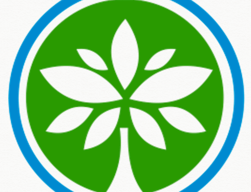 A Sample Grant Proposal on “Clean Energy for All: Solar Access in Bangladesh’s Coastal Bel