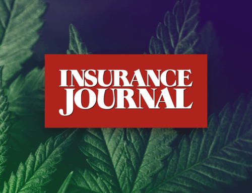 People Moves: Pyfrom Named Starwind Cannabis EVP of Sales and Distribution; Golden Bear Ad