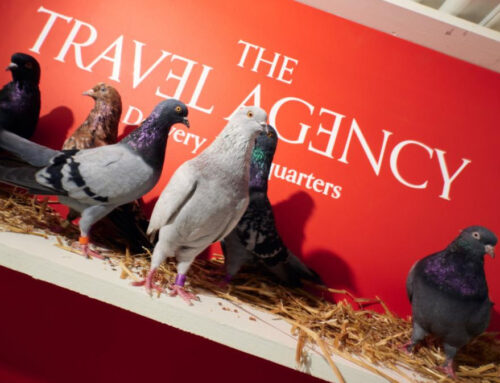 This NYC-based cannabis supplier will now send you weed via carrier pigeon