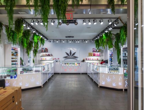 MJ: Midterms Could Offer Chance To Enjoy High Returns With Cannabis Stocks