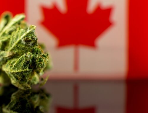 Cannabis stocks in focus as Tilray beats on Q1 revenue (TLRY:NASDAQ)