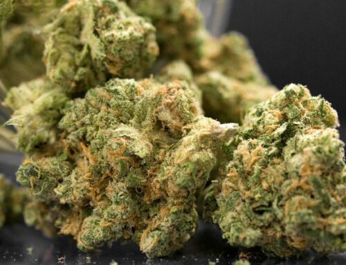 Marijuana advocate slams new Michigan tax