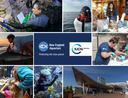 Announcing our Membership in the International Union for Conservation of Nature