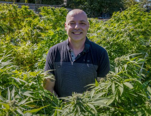 Will a licensed cannabis cultivator lose his backyard business in Essex Junction?