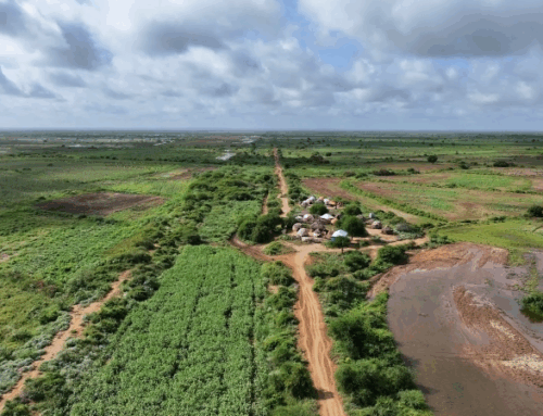 In Somalia, restoring land is restoring peace