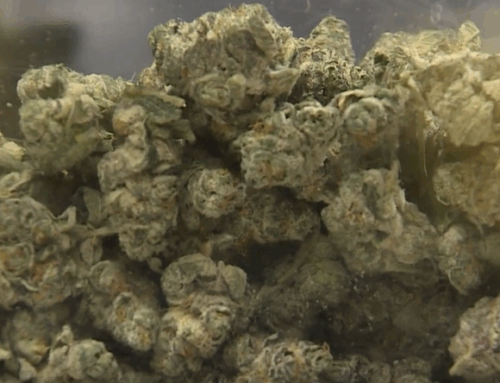 Gov. Beshear: More than 15,000 medical cannabis cards approved in Kentucky