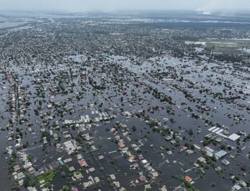 Environmental crimes go unpunished. Experts want to equip defenders to fight back