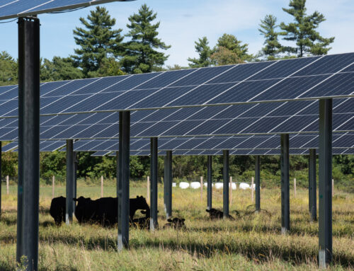 States rush to support clean energy as Trump retreats from renewables