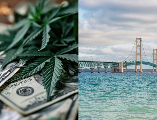 Michigan Lawmakers Pass 24% Cannabis Wholesale Tax, Dealing Devastating Blow to Industry