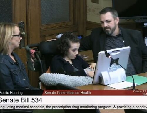 Wisconsin Lawmakers Rally for Medical Cannabis Legalization in Committee Hearing