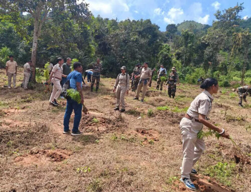 Rayadaga cops’ spl drive help reduce cannabis cultivation | Bhubaneswar News – The Times o
