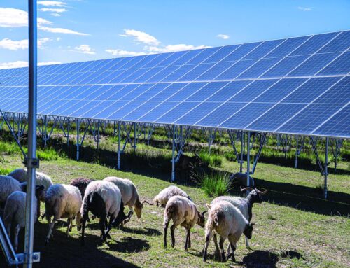 Promoting Co-Benefit Actions for Positive Environmental and Social Impacts from Renewables