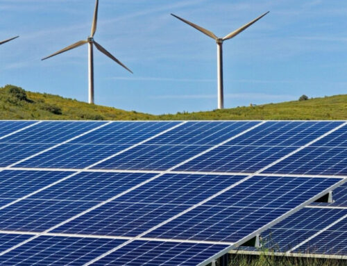 renewable energy surpasses coal as the main source of electricity in the world