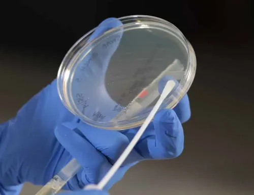 Mass. cannabis lab shuttered for testing allegations reopens
