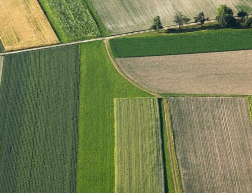 EU agriculture 2040: no easy fix for environmental and socio-economic aspects