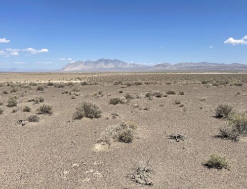 Trump administration’s revised approval process threatens to scuttle giant NV solar comple
